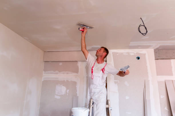 Best Ceiling Drywall Installation  in Blackfoot, ID