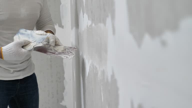 Best Fire-Damaged Drywall Repair  in Blackfoot, ID